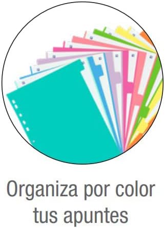 Strongline, Separadores A4 Cartulina, 10 Posiciones y Colores