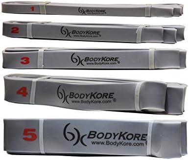 Premium Power/Strength Loop Band 5 BAND SET- 41" 5LB-120LB- Physio Therapy Stretch Set- Pull Up Assist, Body Building, Mobility Stretches Resistance WOD- 1 YEAR WARRANTY!