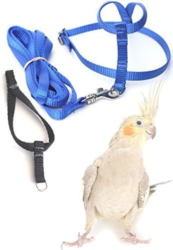 Fred Bird Harness &amp; Leash with additional larger TRAINING Head Loop