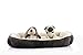 long rich Large Classic Solid Rectangle Dog and Pet Bed with Dog Bone Print, 24x34 inches, Brown Color, by Happycare Textiles,