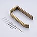 Rozin Wall Mounted Toilet Paper Holder Antique Brass Finish