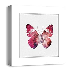 Canvas Wall Art Colorful Butterflies Photo Frame Style Painting Artwork for Home Prints Framed - 12x12 inches