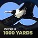 Wingspan Optics NatureSport 8X32 Waterproof Compact Binoculars for Bird Watching. Ultra-Lightweight, Rugged and Durable. Pocket-Size Binoculars for the Nature Lover on the Go. Formerly Polaris Optics.