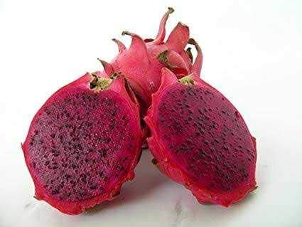 Green Paradise rare exotic and sweetest red dragon fruit seeds pack of 25 seeds