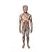 Morphsuits Kids Zombie Monster Costume - Medium 3'6-3'11 / 8-10 Years