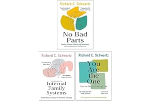Richard Schwartz 3 Books Collection Set (No Bad Parts, Introduction to Internal Family Systems & You Are the One You’ve Been Waiting For)