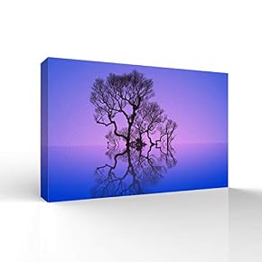 SIGNFORD Canvas Wall Art for Living Room,Bedroom Home...