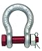 Crosby 1019472 G-2130 Carbon Bolt Type Anchor Shackle | 1/2-Inch Nominal Size | 2 Ton Working Load Limit | Carbon Steel Body with Alloy Pin | Hot Dipped Galvanized, Pack of 1