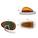 Partsam Side Amber LED Marker & Turn Signal Light Clearance w Chrome Bezel For Freightliner Century/Columbia 15 LED, High Low Brightness, For Front Fender or Hood Side Use