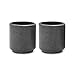 TEROFORMA Chill Shot – Original Handcrafted Natural Soapstone Shot Glasses (Set of 2)