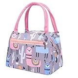 QUNANEN Lunch Bag For Women Universal Print Stripe Picnic Carry Case Thermal Portable Lunch Bag (Pink)