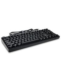 USA Filco Ninja Majestouch-2, Tenkeyless, NKR, Tactile Action, Keyboard fkbn87 m efb2