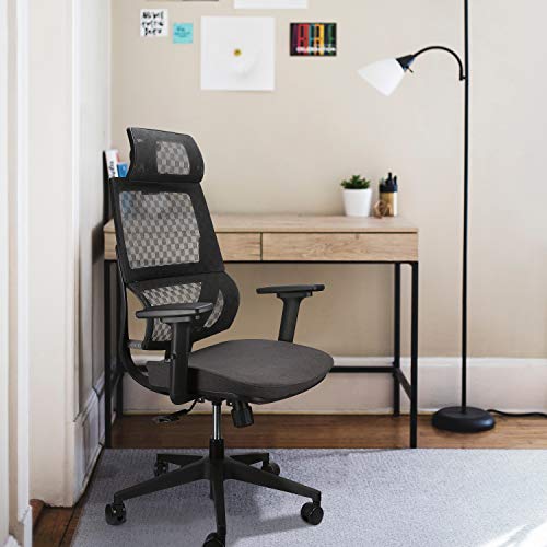 Argomax Mesh Office Chair, Ergonomics X Chair Computer Chair Desk Chair