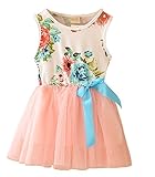Theplus Little Girls Sleeveless Floral Princess Dress Tulle Tutu Sundress