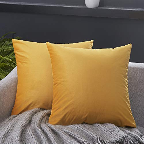 JUSPURBET Velvet Pillow Covers 16x16 Inches,Pack of 2 Throw Pillow Covers for Sofa Couch Bed,Decorative Super Soft Throw Pillow Cases,Gold