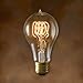 Bulbrite Incandescent A21 Medium Screw Base (E26) Light Bulb, 40 Watt, Antique