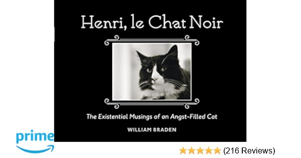 Amazoncom Henri Le Chat Noir The Existential Musings Of