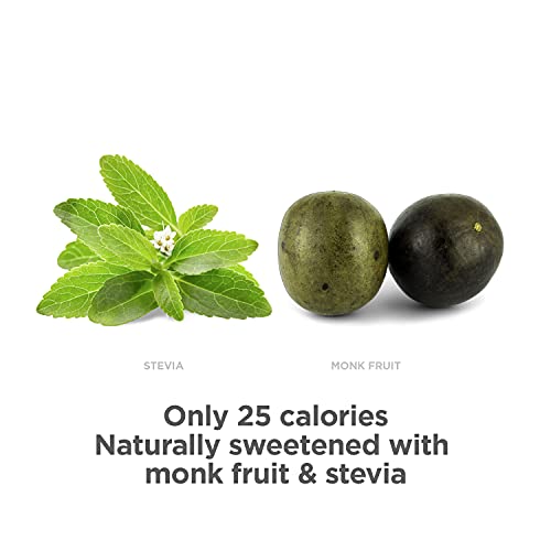 GURU PlantBased Yerba Mate Energy Drink Recharge with Refreshing