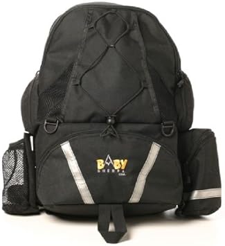 chicco gofit plus booster