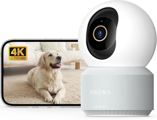 Anona Pano 4K Indoor Camera