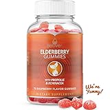 The Only Elderberry Gummies with Vitamin C, Propolis, Echinacea for Immune Support Supplement for Kids and Adults, Raspberry Flavored, 70 Chewable Gummy Vitamins