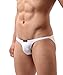 BRAVE PERSON Low Waist Bikini Swimwear Men's Comfortable Fashion Underwear Briefs B1133