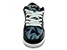 Nike Dunk Low Premium FT SB QS Skateboarding Shoes