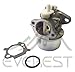 New Carburetor for Briggs Stratton 497586 499059 with Gasket Chock Carburetor