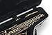Gator Cases Lightweight Molded Alto Saxophone Case with Locking Latch and Plush Lined Interior; (GC-ALTO SAX)