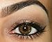L.A. Minerals Brown Shimmer Eye Shadow - Seduction