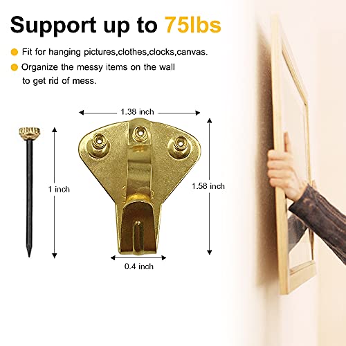 Earthquake Hangers(75lbs10pcs), Heavy Duty Earthquake Picture Hanging