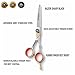 Feng Chun Professional Hair Scissors Shears Razor Edger Haircut Set Barber Scissors Scissors Thinning For Hairdressers Scissors Hair Professional Hair Cutting Shears Japanese Stainless Steel
