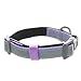 Pawtitas Personalized Reflective Padded Puppy Collar with Name Phone Number - Adjustable Customized Collar for Large Dogs | Orchid Custom Large Dog