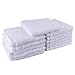 THETIS Homes Luxury Egyptian Cotton Washcloth (12-Pack, White, 12x12 Inches) - Super Soft, Fast Drying & Highly Absorbent for Bath, Kitchen, Office & Gym