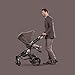 Britax Affinity Color Pack, Fossil Brown