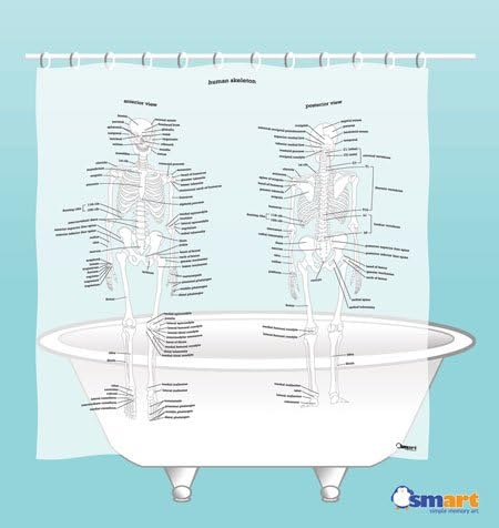 Amazon Com Smart By Simple Memory Art Human Skeleton Shower