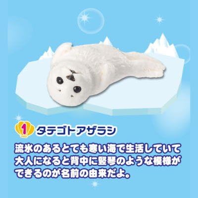 Amazon ぷちどうぶつシリーズ 海のどうぶつ 水族館の人気者 1 タテゴトアザラシ 通販