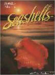 Florida S Fabulous Seashells And Other Seashore Life