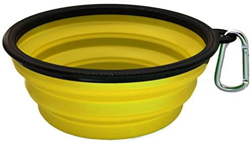 large collapsible dog bowl