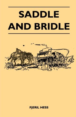 Saddle and Bridle