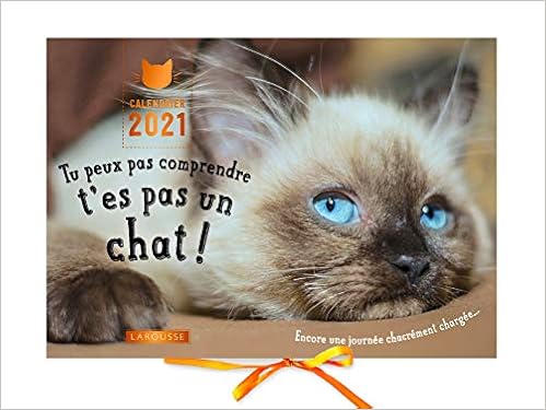 Calendrier 2023 Tu Peux Pas Comprendre T Es Pas Un Chat Calendrier 2021 Tu Peux Pas Comprendre, T'es Pas Un Chat ! - Lemoine,  Aurélie, Zabée, Alice - Livres - Amazon.fr