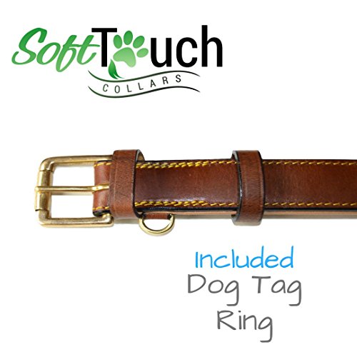 Soft Touch Collars Luxury Real Leather Padded Dog Collar