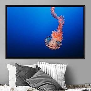 signwin Framed Canvas Wall Art Jellyfish Floating Colorful...
