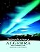 Introductory Algebra (Bittinger Developmental Mathematics Series)