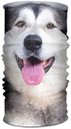 Magic Headwear Dogs Muzzle Outdoor Scarf Headbands Bandana Mask Neck Gaiter Head Wrap Mask Sweatband