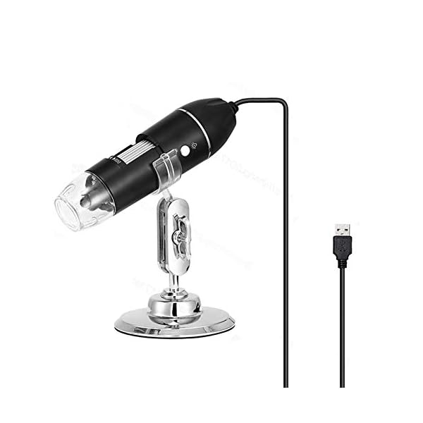 Hayve Digitales Mikroskop, 1000X, 1080P, elektronisches Mini-USB-Mikroskop, Vergrößerung, Münzkamera mit 8 LED-HD…