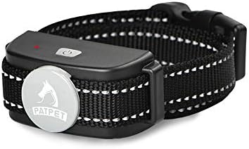 best kind of family dog