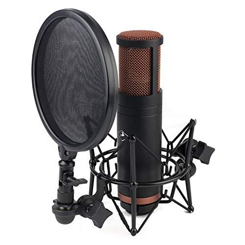 Antelope Audio Edge Duo Modeling Mic