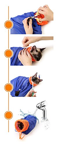 1 CatYou+Grooming+Polyester+Injecting+Examining