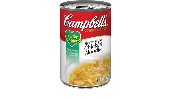 Homestyle Chicken Noodle (051000167217)